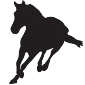 horse